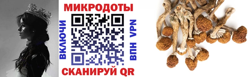 Псилоцибиновые грибы GOLDEN TEACHER  Тимашёвск 